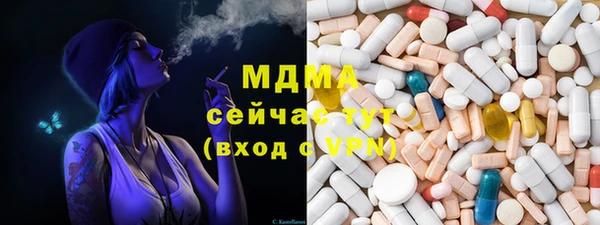 индика Аркадак