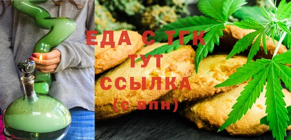 индика Аркадак