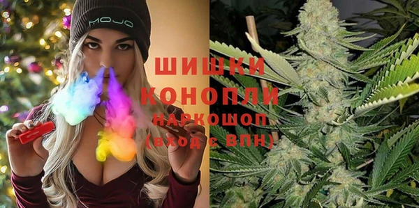 индика Аркадак