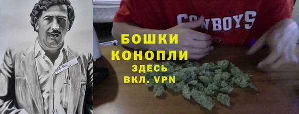 ГАЛЛЮЦИНОГЕННЫЕ ГРИБЫ Армянск