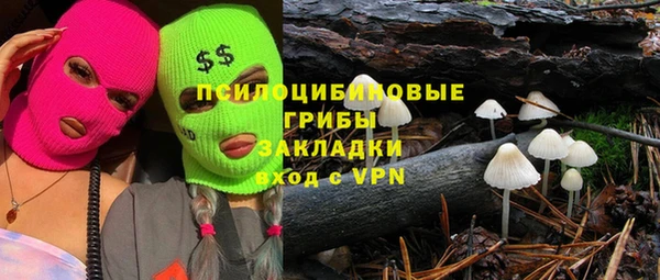 ГАЛЛЮЦИНОГЕННЫЕ ГРИБЫ Армянск