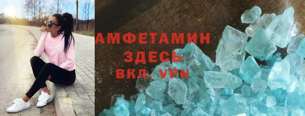 индика Аркадак