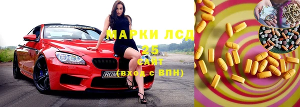 индика Аркадак